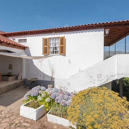 Quinta Do Acipreste Lamego Bagian luar foto