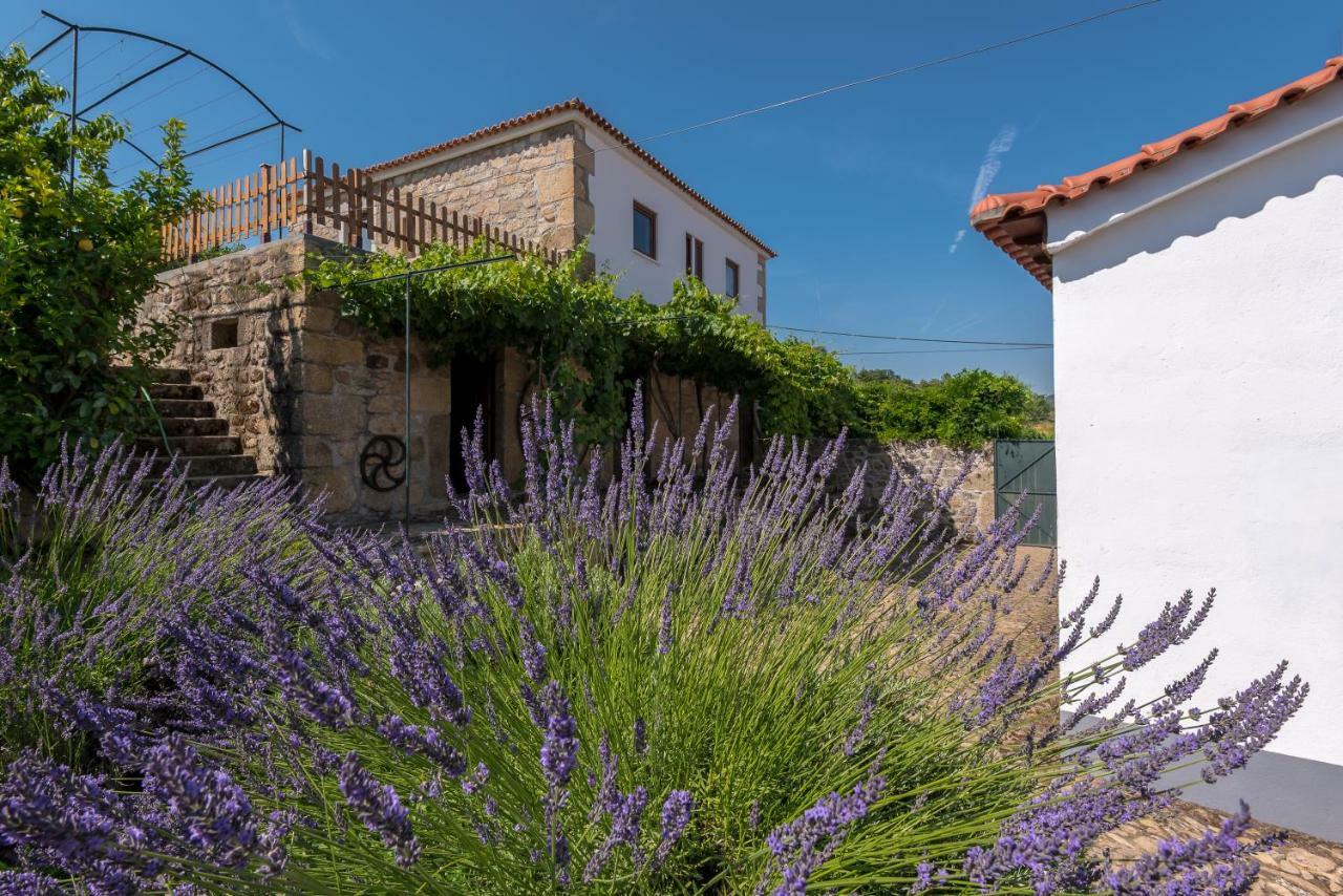Quinta Do Acipreste Lamego Bagian luar foto