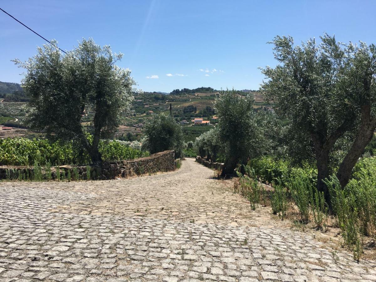 Quinta Do Acipreste Lamego Bagian luar foto