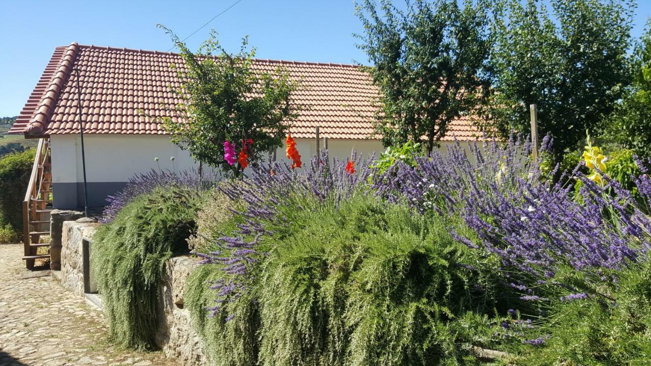 Quinta Do Acipreste Lamego Bagian luar foto