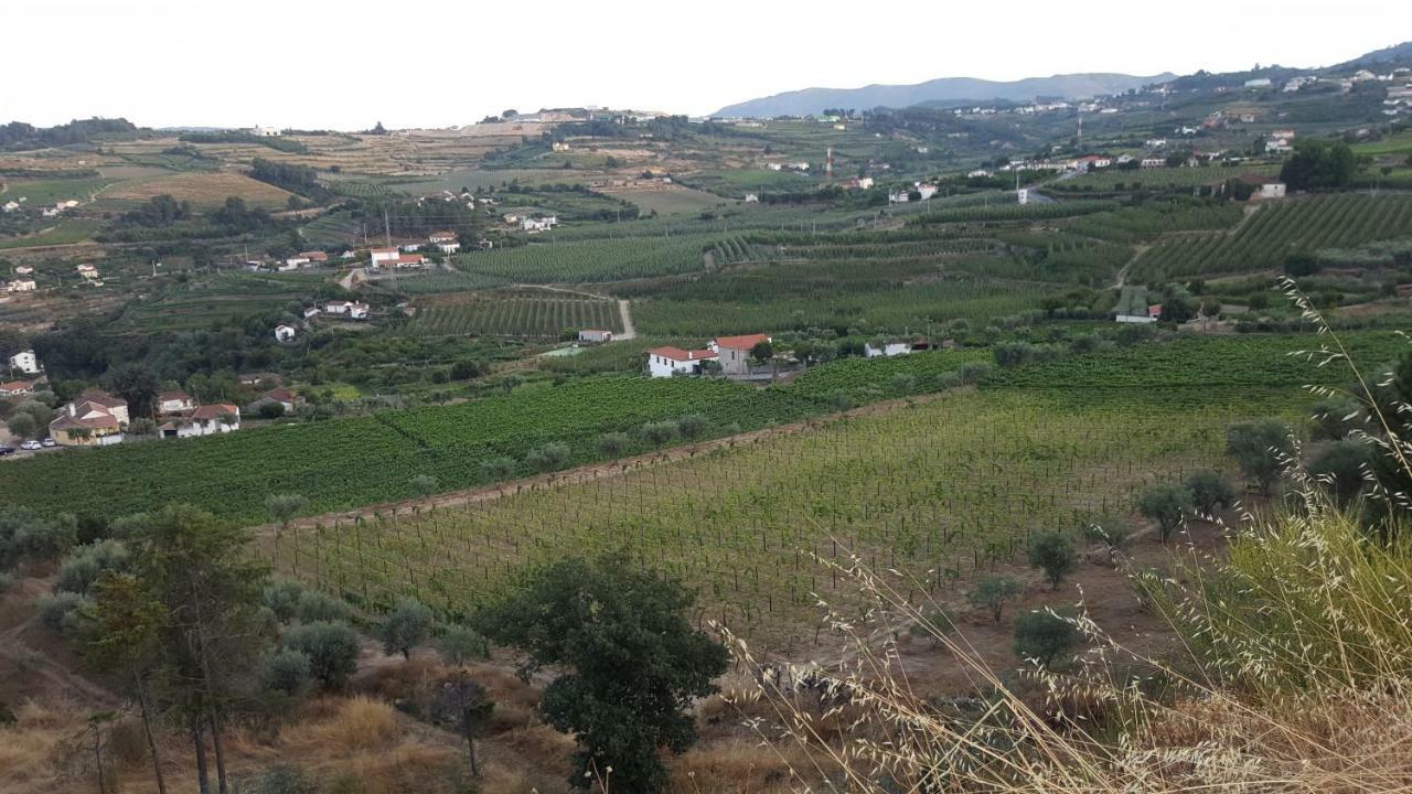 Quinta Do Acipreste Lamego Bagian luar foto